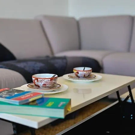 Apartman Vue Aux Sanguinaires - Stationnement Et Ascenseur *